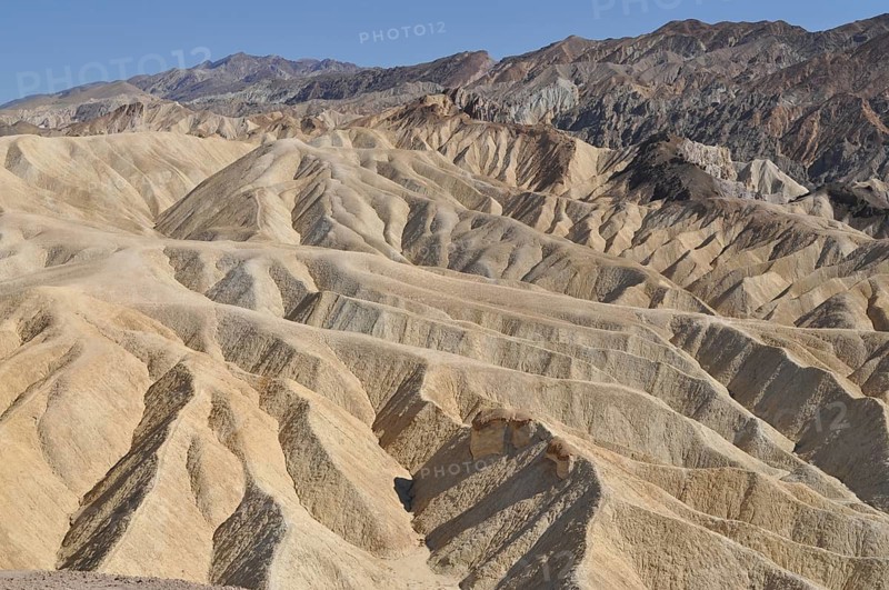 Hills shaped by erosion in a vast desert landscape under blue skies, Zabriskie Point, Death Valley National Park, Mojave Desert, California, Nevada, USA