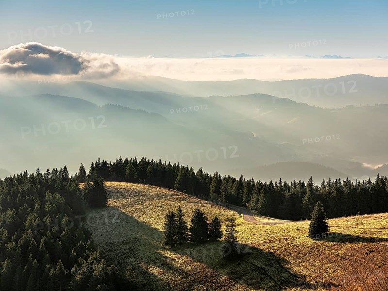 View from the summit of the Belchen (1414m) over the hills of the Black Forest to the Swiss Alps in morning light, fog in the valley, Baden-Württemberg, Germany