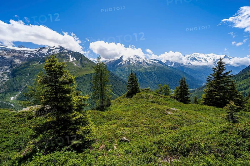 Mountain panorama with glaciated mountain peaks, Aiguille du Midi and Mont Blanc, hiking to Aiguillette des Posettes, Chamonix, Haute-Savoie, France