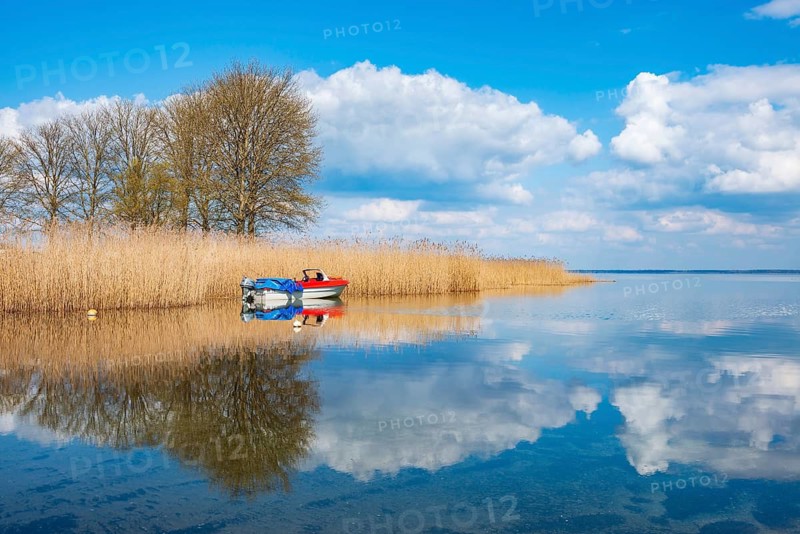 Silent morning on the banks of Lake Müritz, a boat anchored in the water on the reed belt, blue sky with cumulus clouds, near Röbel, Mecklenburg-Western Pomerania, Germany
