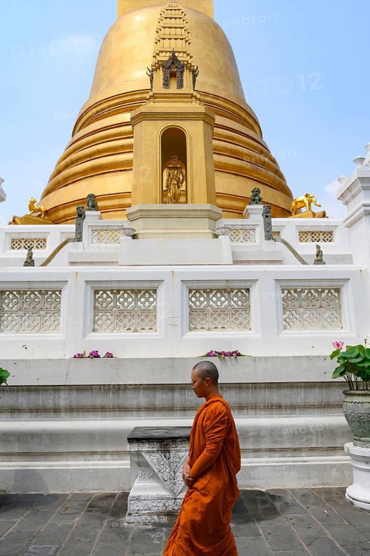 Bangkok, Thailand. February 20th 2025. The distinctive Buddhist architecture of the golden stupa or chedi of Wat Bowonniwetwiharn Ratchaworawiharn, an important Buddhist Temple, Bangkok, Thailand