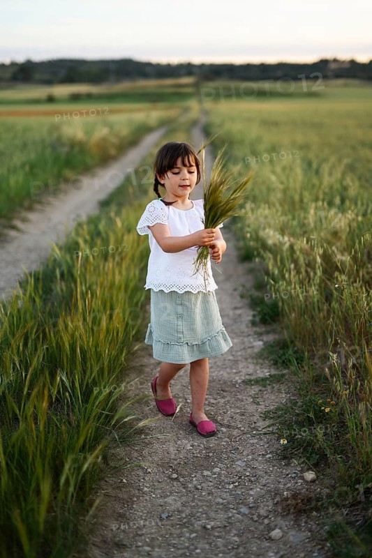 A young girl in a white blouse and green skirt walks a dirt path, holding stalks of wheat. The calm rural scene, set at sunset, portrays a quaint and serene moment