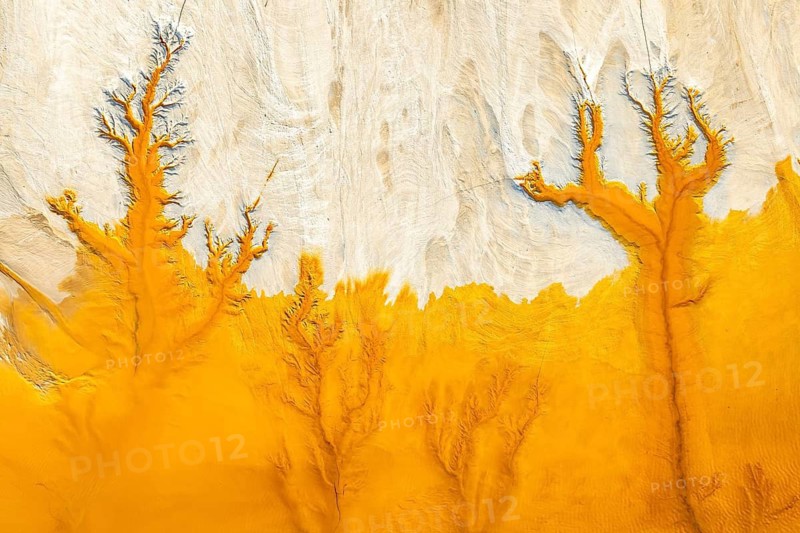Aerial view of fractal mud textures showcasing vibrant orange patterns against a pale backdrop. The intricate designs resemble delicate, branching structures