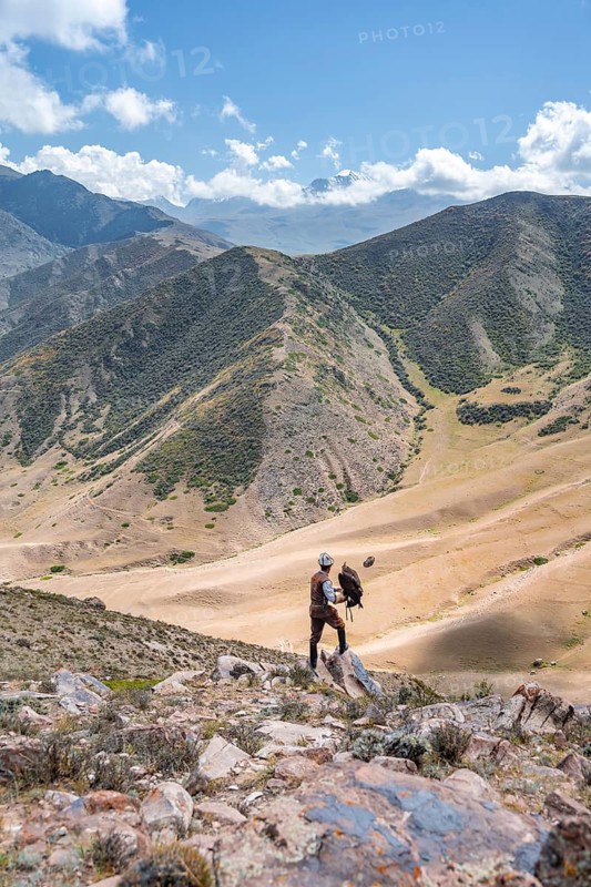Traditional Kyrgyz eagle hunter hunting in the mountains in a dry landscape, near Kysyl-Suu, Issyk Kul, Kyrgyzstan