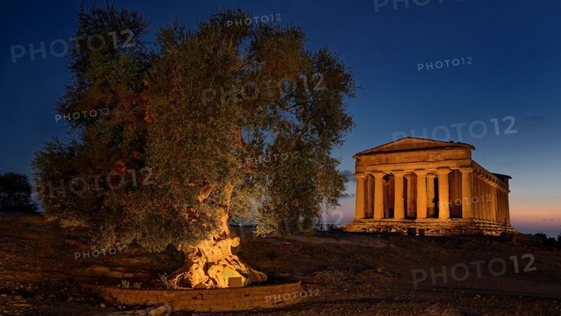 Europe, Italy, Sicily, the Temple of Concordia in Agrigento by night