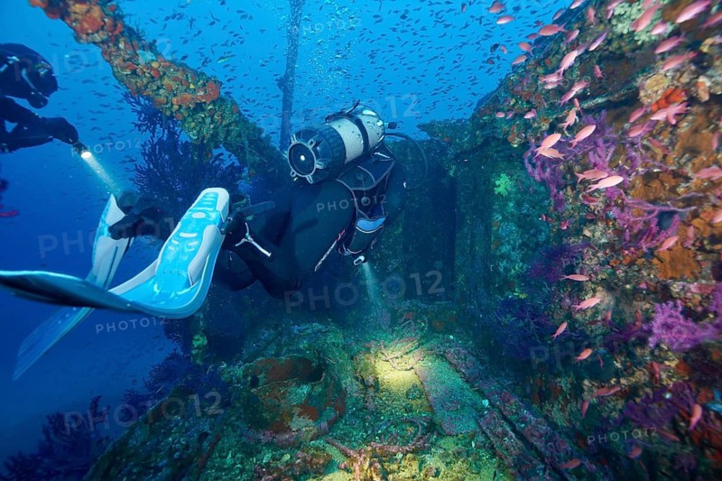 Divers float through the remains of a sunken ship, surrounded by bright corals, Violescent sea-whip (Paramuricea clavata), dive site wreck Le Grecq, Giens peninsula, Mediterranean Sea, Porquerolles, Provence, Côte d'Azur, France