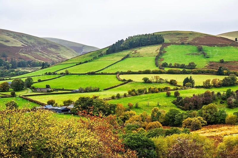 Autumn colors over Farms and Fields, Wales, UK