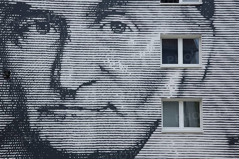 Mural mathematician Carl Friedrich Gauß by Thomas Stolz 2015, street art, graffiti, monochrome gray head, face, black and white, linear, pixel graphics, dashed, house facade, Frankfurt am Main, Hesse, Germany