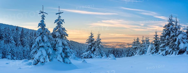 Deep snow-covered winter landscape, view of endless snow-covered spruce forests on Wurmberg in the evening light, Großer Winterberg, Harz, Schierke, Saxony-Anhalt, Germany