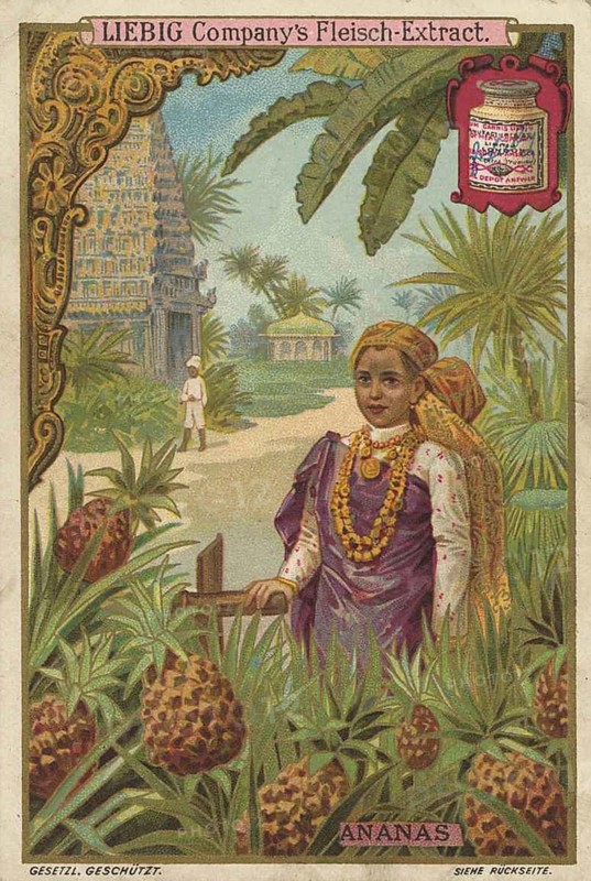 Series tropical fruits with local people, pineapple, Liebig picture, digitally restored reproduction of a collector's picture from ca 1900, public domain, exact date unknown, woman in colourful clothes next to pineapple plants in front of an exotic temple
