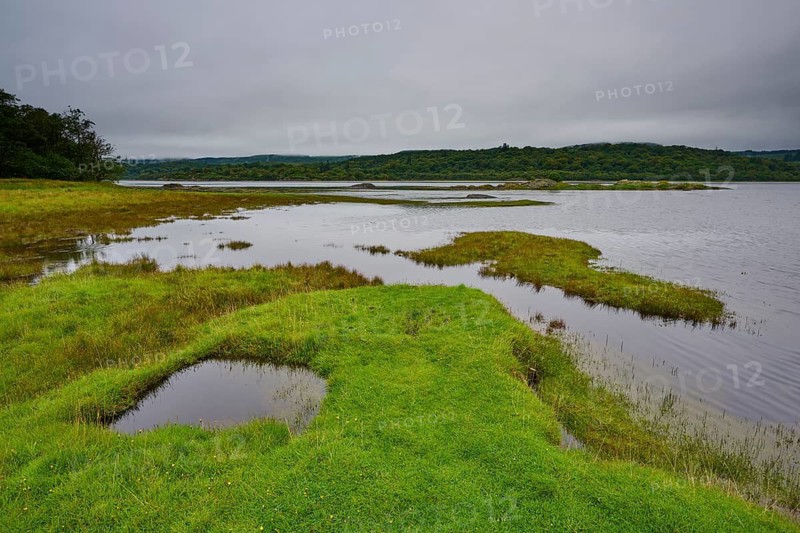 Green grassland on the edge of a lake with cloudy sky, Tarbert, Loch Fyne, Kyles of Bute, Scotland, United Kingdom, Great Britain