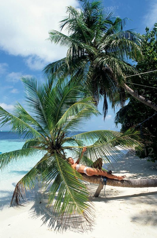 Young woman in white bikini lying relaxed on slanted trunk of coconut palm (Cocos nucifera) on beach of Maldives island in Indian Ocean, Maldives