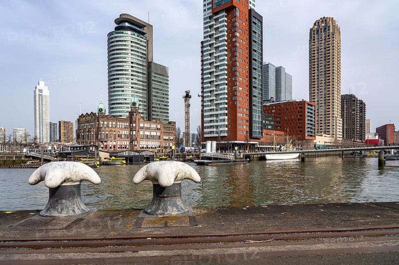 Kop van Zuid, Wilhelminapier, skyscrapers on the Nieuwe Maas, skyline of the city center, Rijnhaven harbor basin, Rotterdam, Netherlands