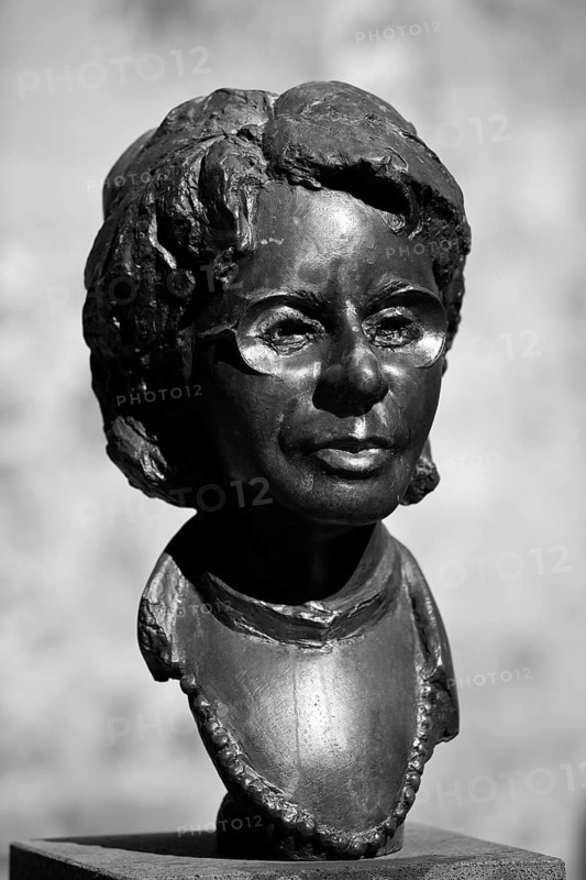 Portrait head Helge Pross, bronze head by Thomas Burhenne, patinated bronze, Giessener Köpfe, Neues Schloss, Giessen, Hesse, Germany