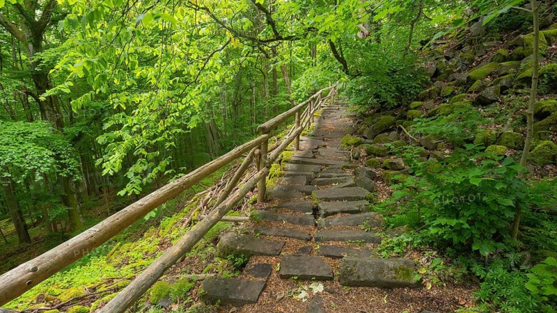 Path leading past the Basalt prisms, Gangolfsberg, Rhön Biosphere Reserve, Bavaria, Germany