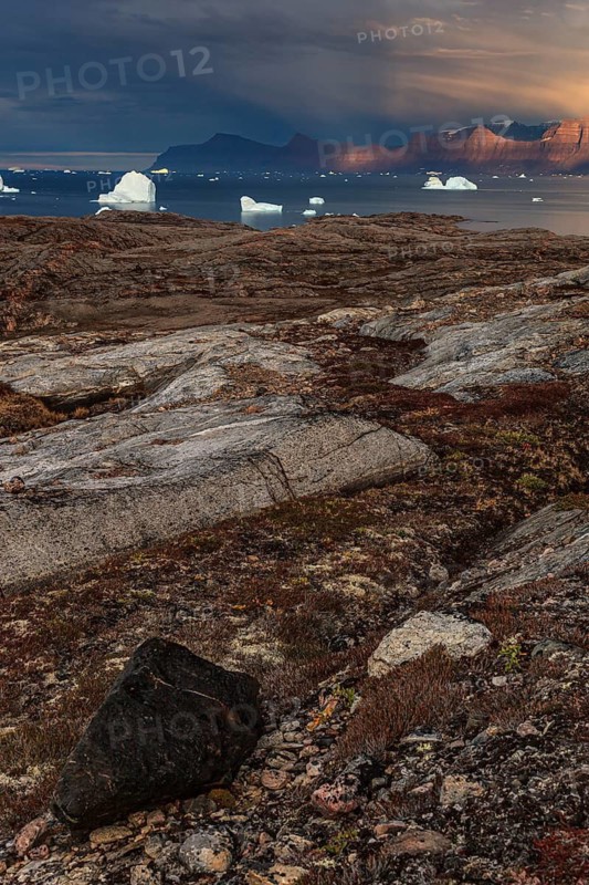 Evening light and atmosphere in fjord with icebergs in front of steep mountains, cloudy, autumn, Scoresby Sund, East Greenland, Greenland