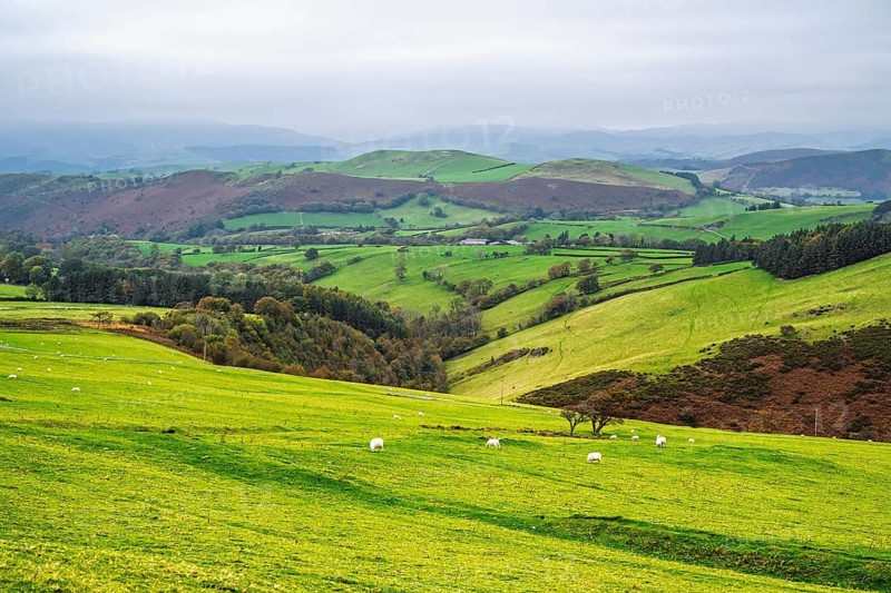 Autumn colors over Farms and Fields, Wales, UK