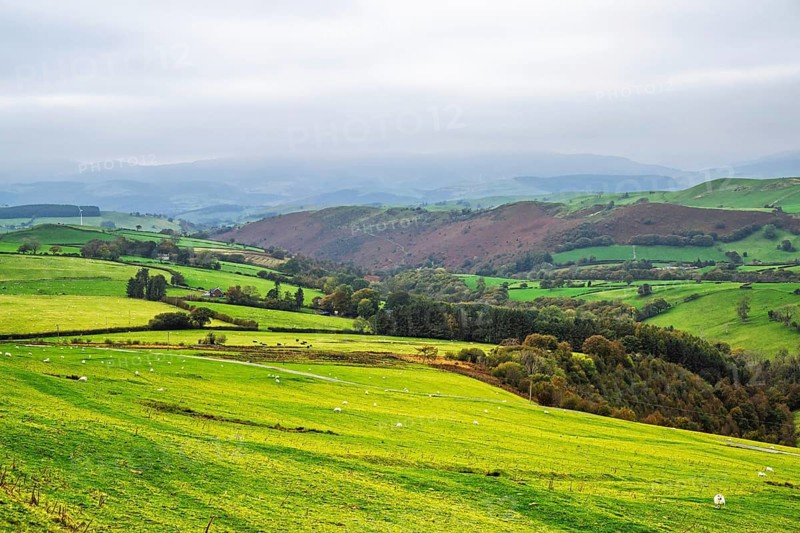 Autumn colors over Farms and Fields, Wales, UK