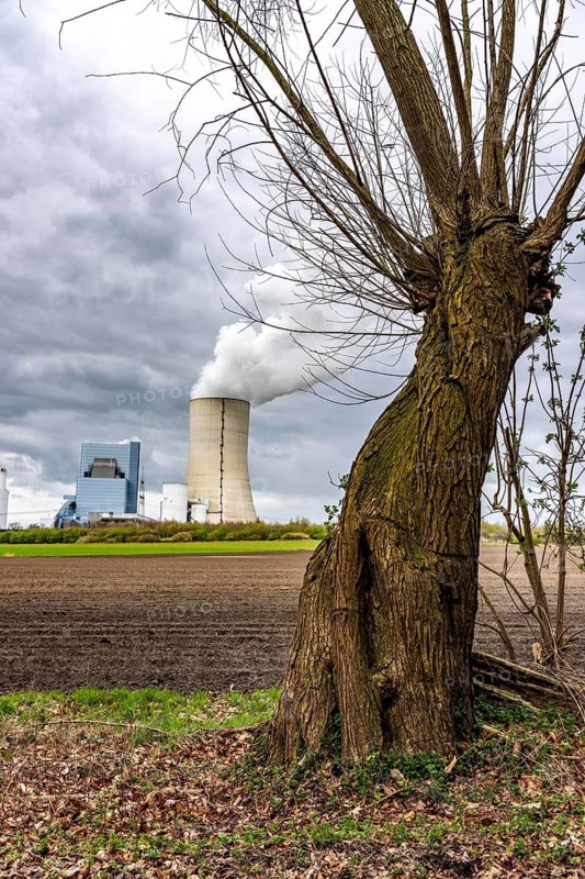 The UNIPER Datteln 4 coal-fired power plant, power plant block and cooling tower, fields, old trees, Datteln, North Rhine-Westphalia, Germany