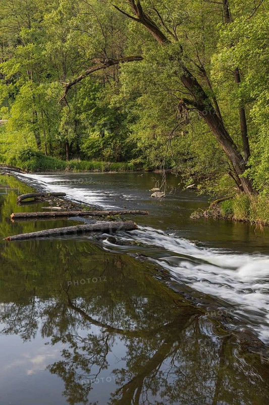 Thaya riverbanks. Hardegg is a small town in the district of Hollabrunn in Lower Austria, Austria. The Thaya valley is protected as a national park. On the Czech side is the Podyjí National Park
