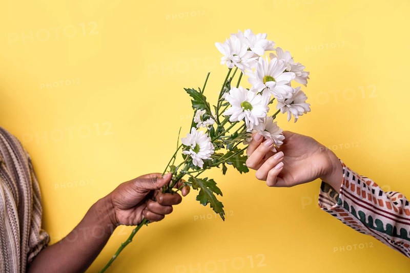 A close-up image of a man's and woman's multiethnic hands tenderly holding a delicate white flower against a vibrant yellow background, symbolizing unity and diversity