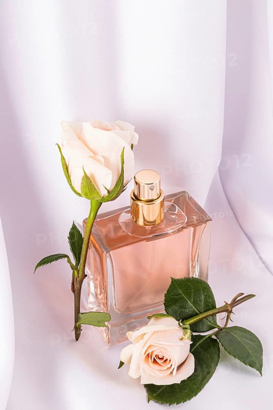 Elegant perfume bottle with golden accents surrounded by delicate white roses on a soft, draped fabric. The harmonious arrangement highlights luxury and elegance