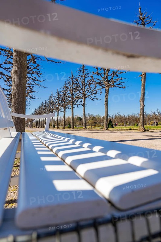 White park bench in the avenue with clear-cut trees under a clear sky in a quiet atmosphere, Schwetzingen Palace Gardens, Germany
