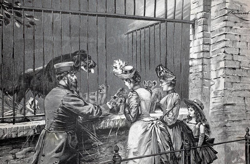 In the Berlin Zoological Garden, the zookeeper shows two ladies the offspring of the lions, 1896, Germany, authentic, digitally restored reproduction from a 19th century model, exact date of depiction unknown, historical, woman and a child look at a lion in a cage in a historic zoo