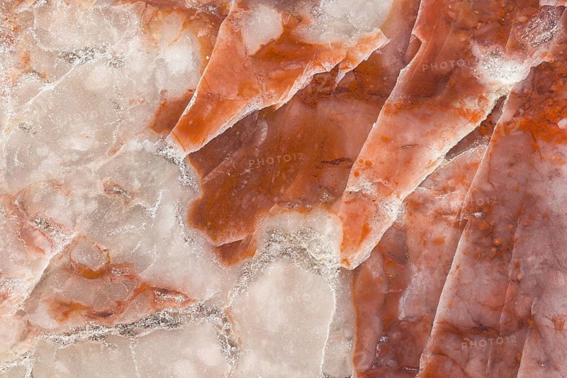 A detailed macro photograph of fossilized dinosaur feces, coprolite, showcasing its layered texture, mineralized composition, and natural reddish-brown and white tones, preserved over millennia