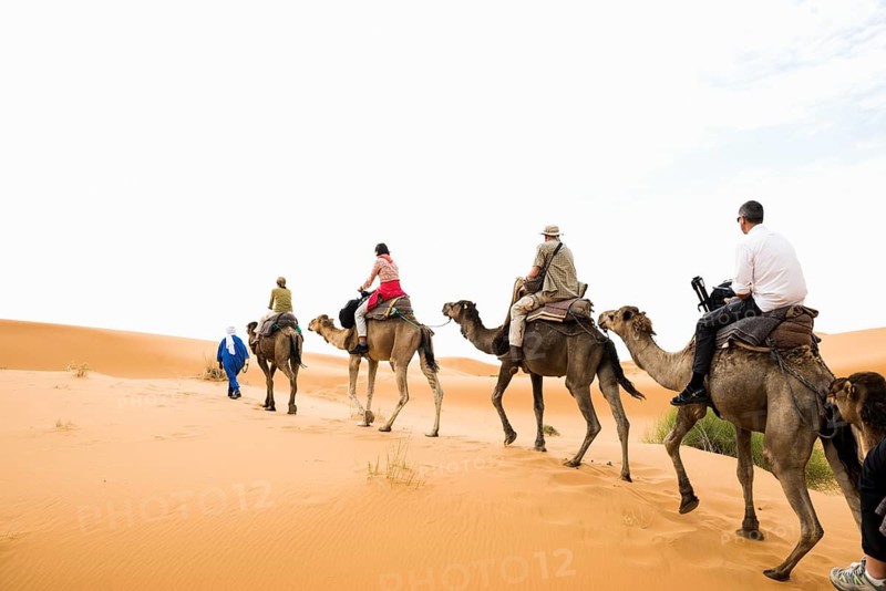 Tourists on dromedaries in the desert, near Merzouga, Meknès-Tafilalet region, Erg Chebbi, northern Sahara, Morocco