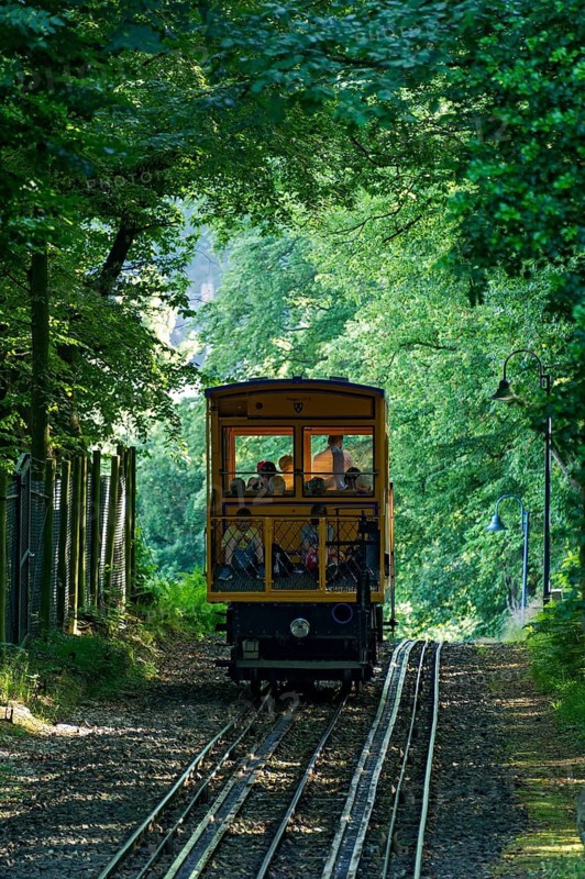 Historic funicular railway, rack and pinion funicular railway with water load on tracks, Nerobergbahn from 1888 travelling in the forest, technical cultural monument, Neroberg, Wiesbaden, Hesse, Germany