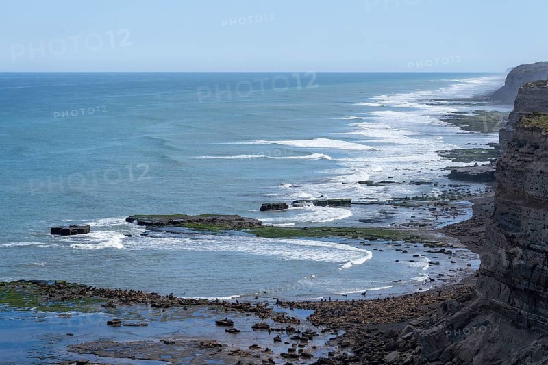 Rocky stretch of coast with cliffs and surf of the Atlantic Ocean, Rio Negro province, Argentina
