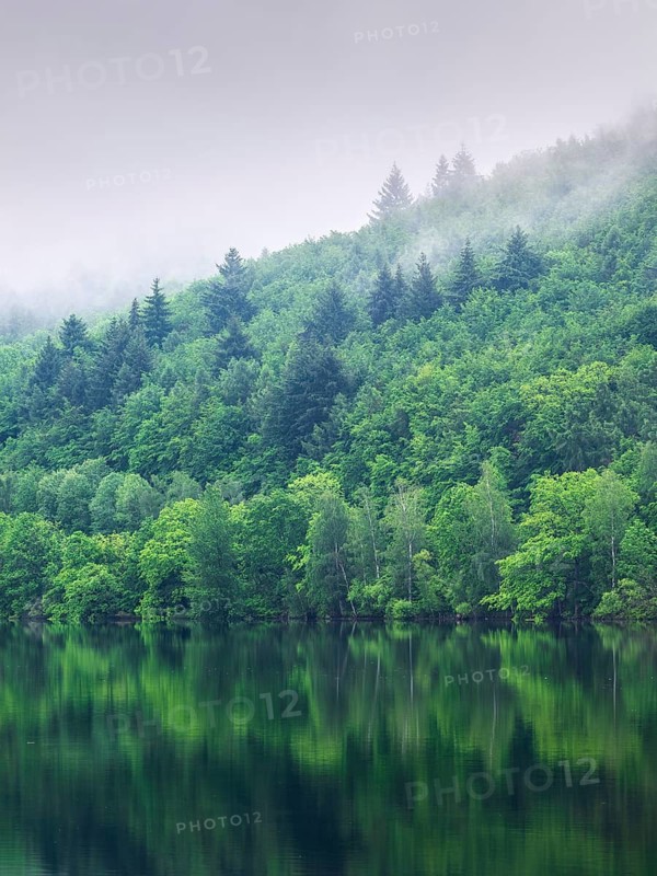 Morning fog at the Edersee, Ederstausee, Edertalsperre, Hesse, Germany