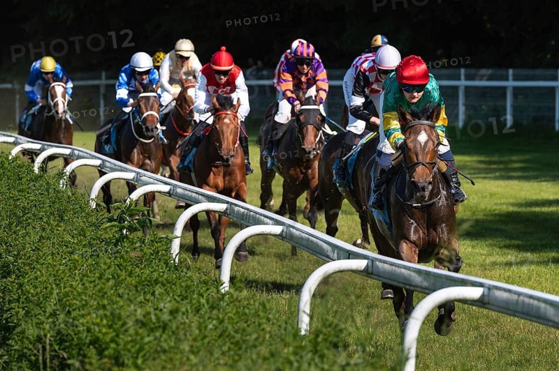 WROCLAW, POLAND - JUNE 4, 2023: International race for three years horses III group at Racecourse WTWK Partynice.