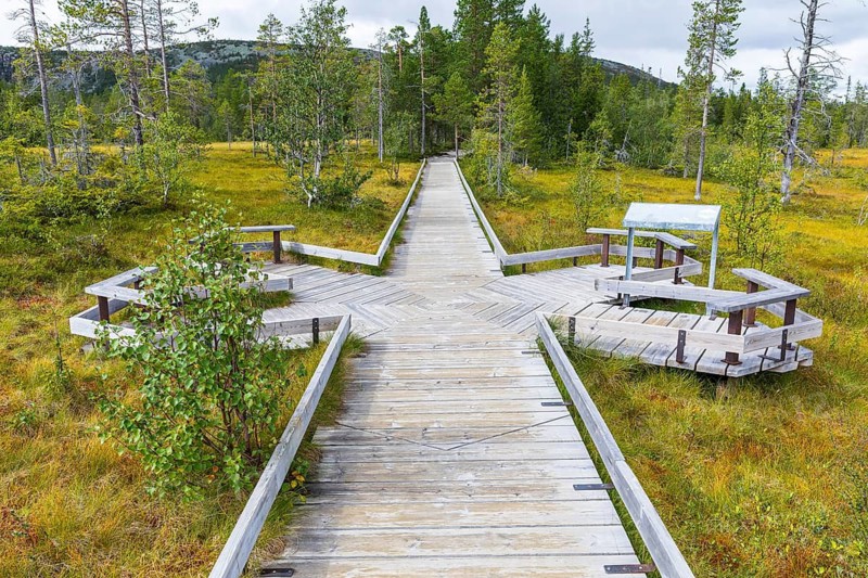 The hiking trail leads over a boardwalk through the high moor in Fulufjället National Park near Särna, Dalarnas län, Sweden
