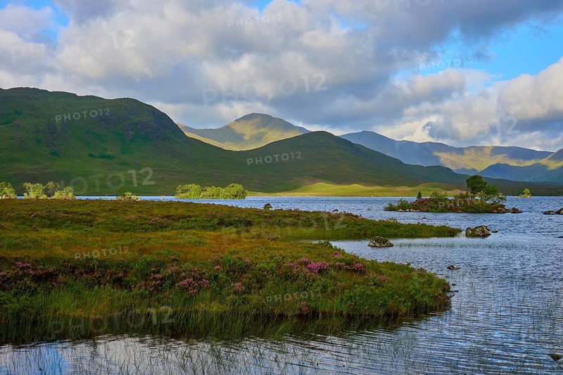 A lake with mountains in the background under a partly cloudy sky surrounded by green nature, Rannoch Moor, Bridge of Orchy, Scotland, United Kingdom, Great Britain