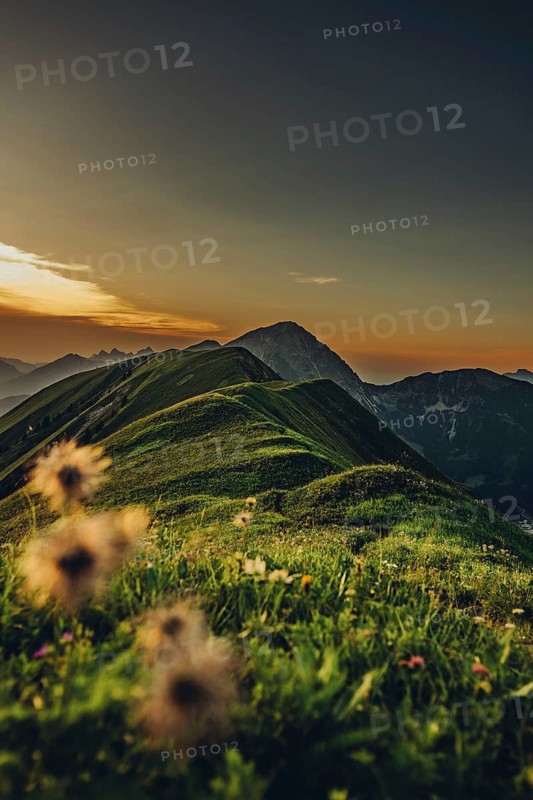 Hiking tour on the Hönig mountain in the Lechtal valley near Berwang in Tyrol, Austria