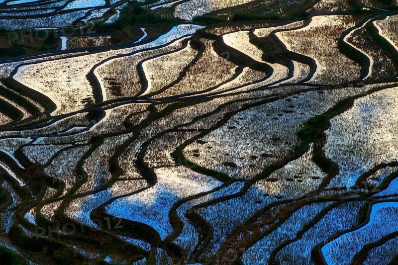 Celestial Stairs — The Yuanyang Rice Terraces in Yunnan, China, carved by the Hani people over 1, 300?years, form a UNESCO-listed landscape covering about 16, 603?hectares (166?km²), stretching from roughly 140?m to 2, 940?m in elevation, with over 3, 000 terraced steps in the main scenic areas, where water, light, and tradition exist in perfect harmony between humans and nature