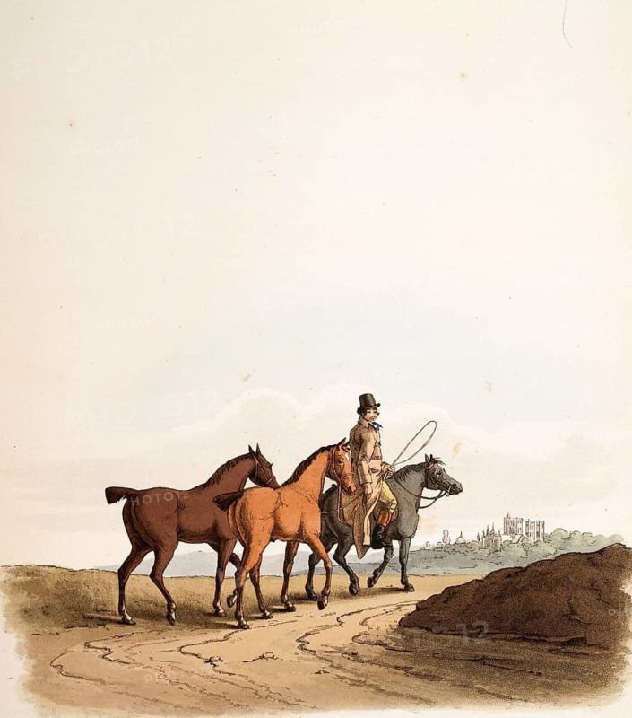 Scene from everyday life in England around 1810, The horse dealer has bought two horses and is riding home, Historical, digitally restored reproduction from a 19th century original, Date unknown