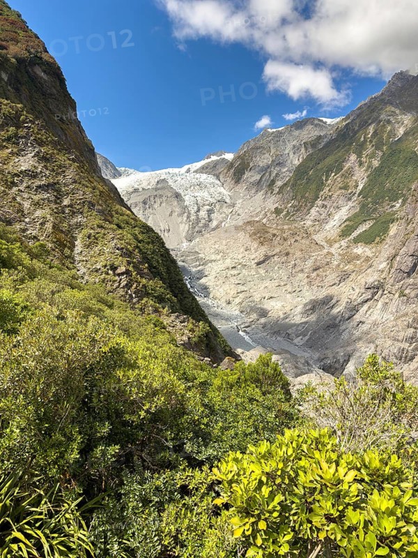 Hiking trail of the Roberts Point Track at Franz Josef Glacier, Franz Josef, Waiau, South Island, New Zealand, Oceania