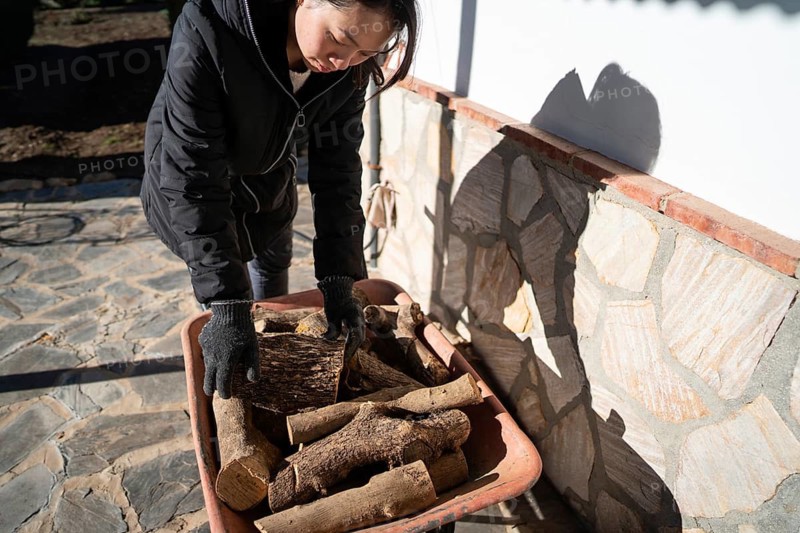 An Asian woman is looking down as she places logs into a wheelbarrow, preparing firewood for a wood burning stove on a sunny day