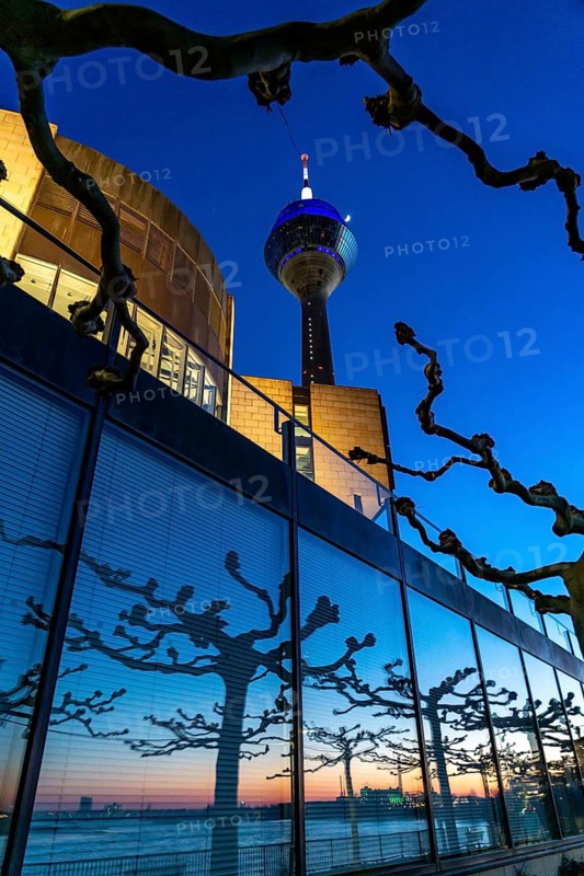 Rhine Tower, evening, state parliament building, North Rhine-Westphalia state parliament, sunset reflected in the building, bare trees in spring, Düsseldorf, North Rhine-Westphalia, Germany