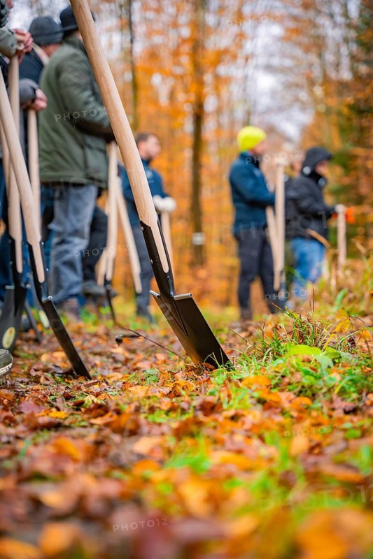 People standing in the forest with spades on the autumn ground, tree planting campaign, Waldbike Calw, district of Calw, Black Forest, Germany