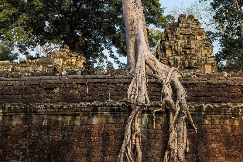 Ta Prohm, Angkor Wat, Angkor, UNESCO World Heritage Site, Siem Reap, Cambodia, Indochina, Southeast Asia