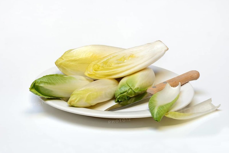 Chicory, chicory salad on plate with knife