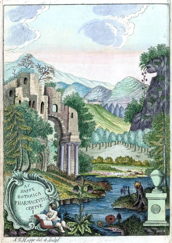 Cover picture of Botanica Pharmaceutica by Andreas Friedrich Happe, Volume I, 1785, digital reproduction of a historical original, between 1790 and 1810