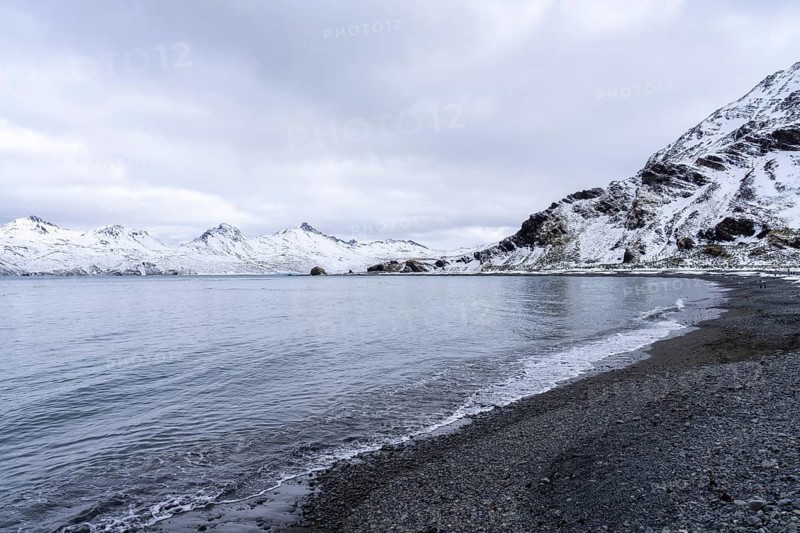 Pebble beach in bay with calm water, snow-capped mountains in the background, cloudy sky, St. Andrews Bay, South Georgia, South Atlantic