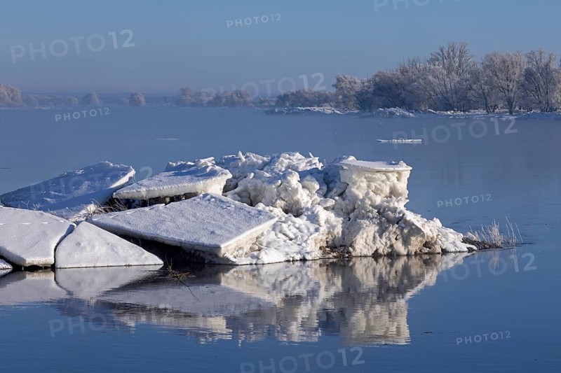 Ice floes, trees, wintery Elbe near Bleckede, Lower Saxony, Germany