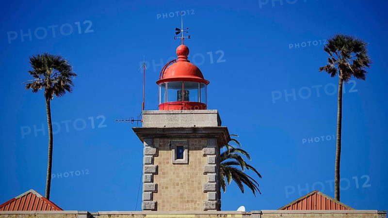 Lighthouse with red dome and palm trees in the background under clear blue sky, Ponta da Piedade, Lagos, Algarve, Portugal
