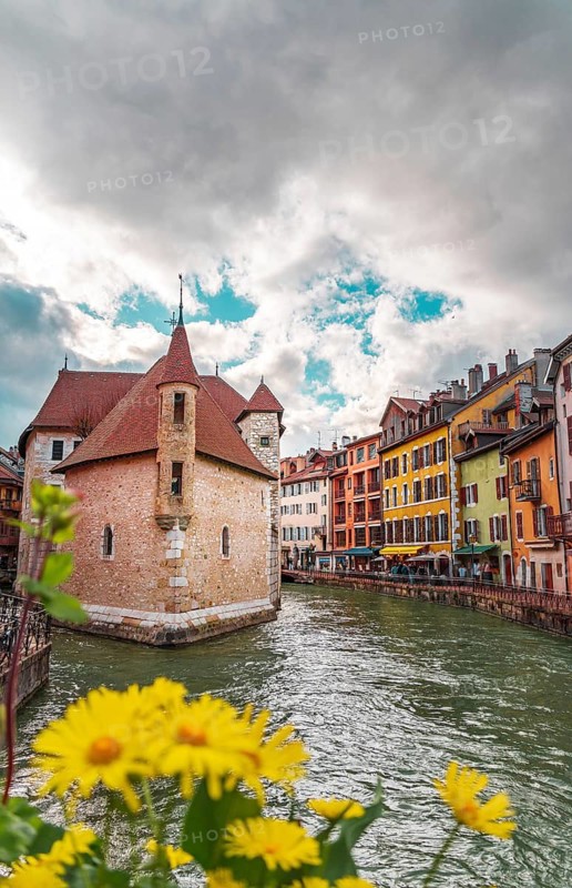 A vibrant view of the Palais de l'Isle and adjacent colorful buildings, set against a dramatic sky in Annecy, France, with fresh yellow flowers in the foreground